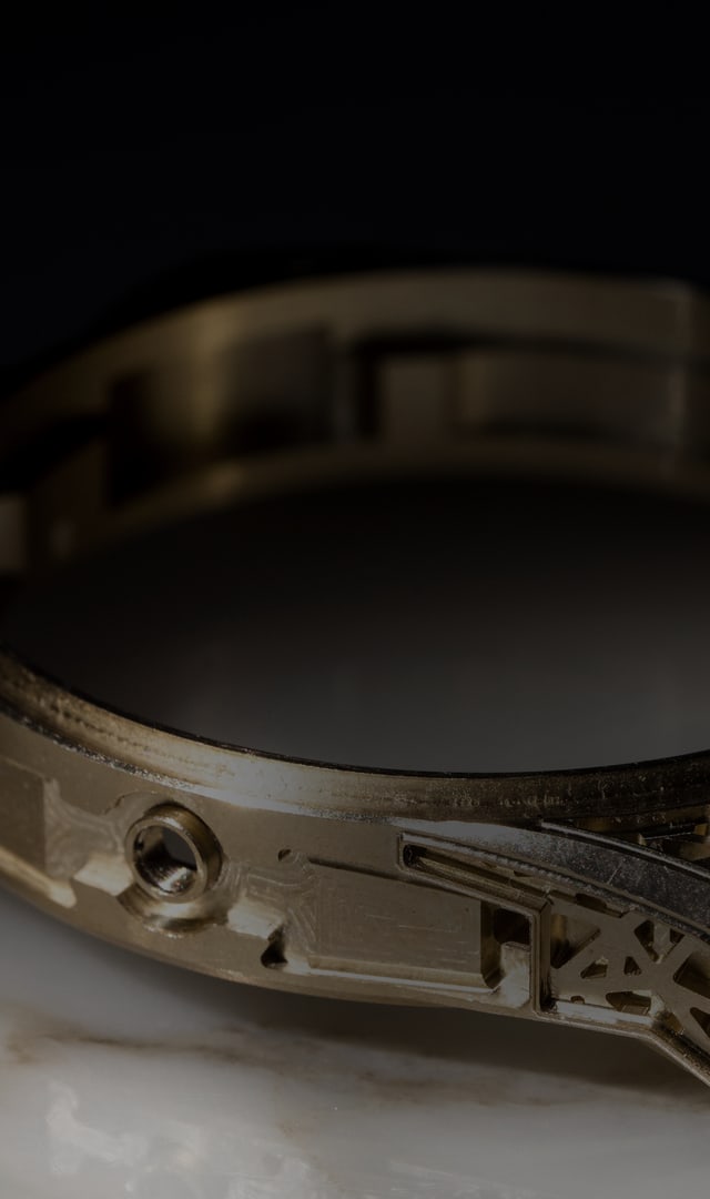 Roger Dubuis Rarities watch case header